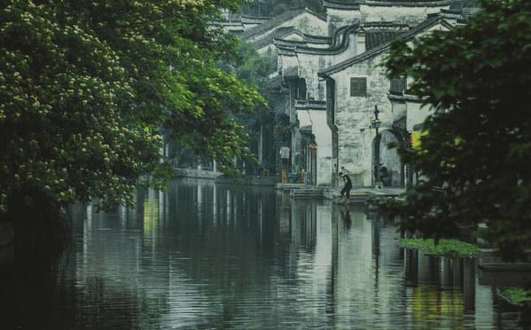 大花园植物逃生